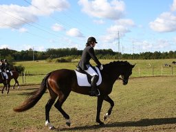 IMG_4203-016-redigeret